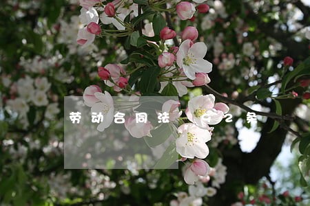 劳动合同法 92条 劳动合同法 92条
